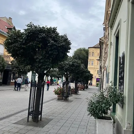 Wiener Garden Gyor